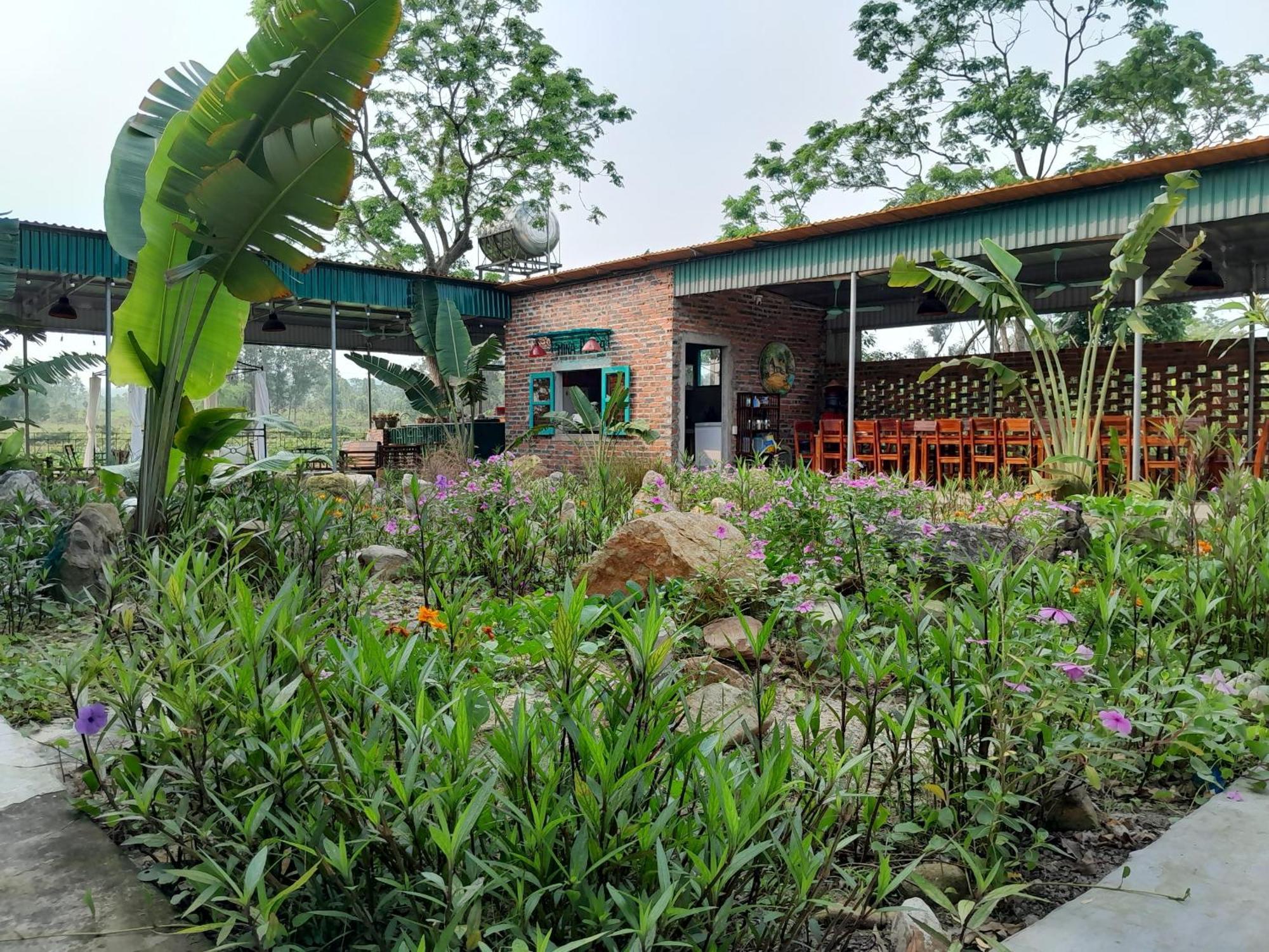Mina Cafe & Stay Quan Lạn-Insel Exterior foto